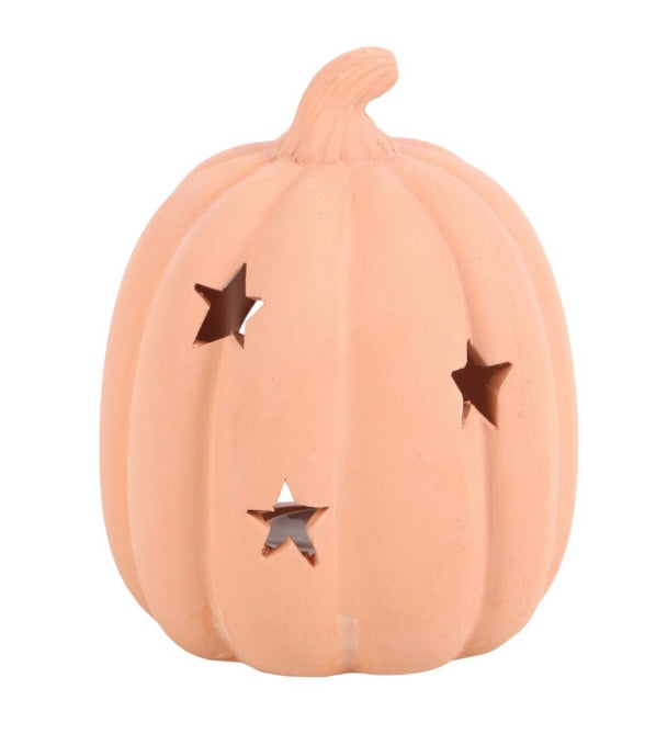 Terracotta pumpkin tea light holder and 6 aromatherapy tea lights.