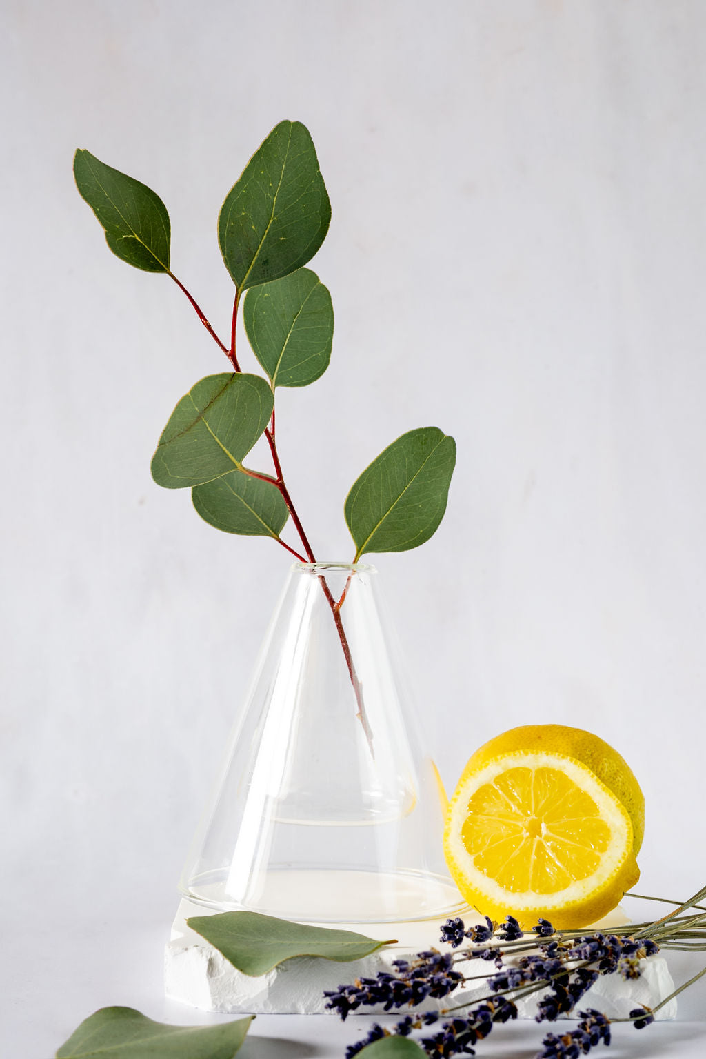 Snug Luxury Diffuser - Balance