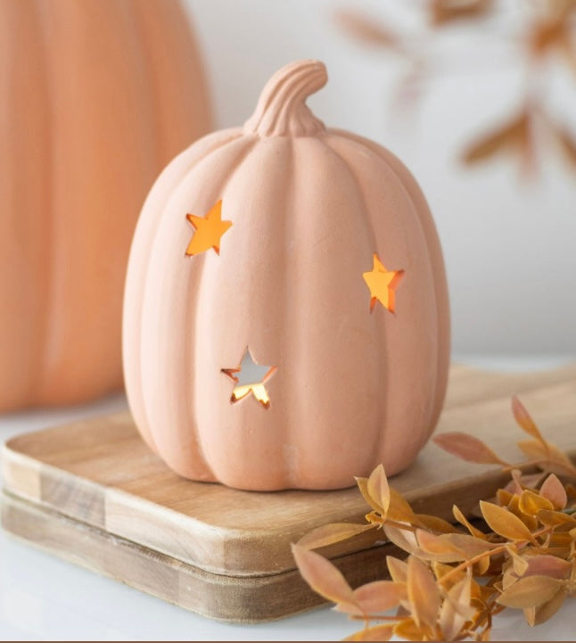 Terracotta pumpkin tea light holder and 6 aromatherapy tea lights.