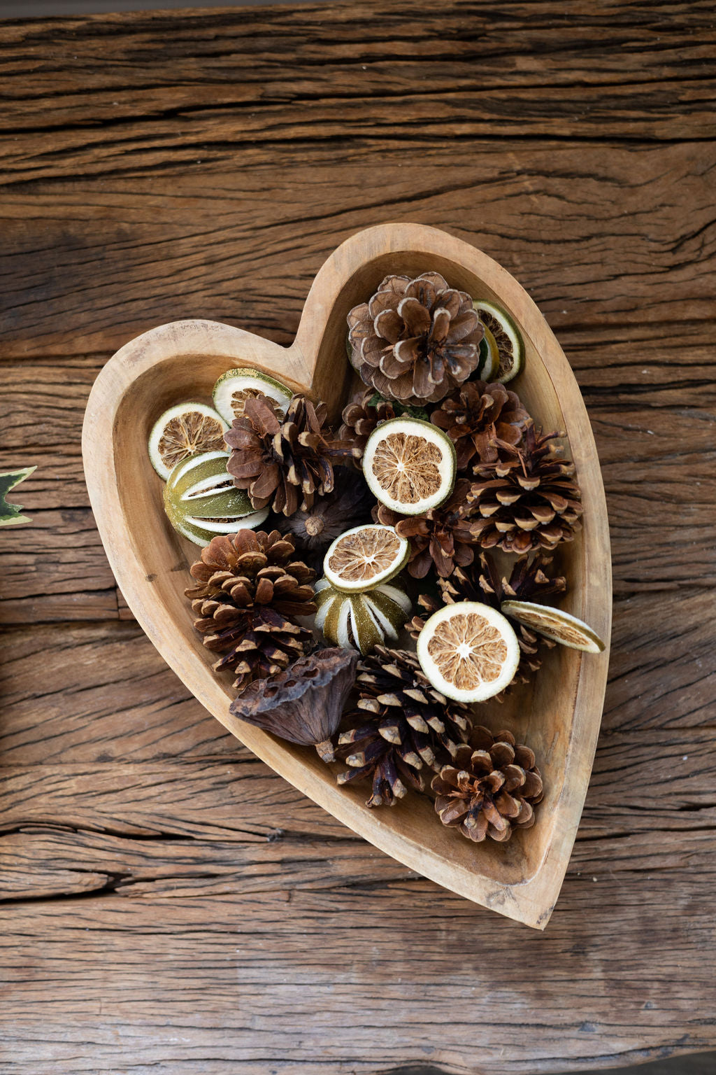 Winter Potpourri - Verde