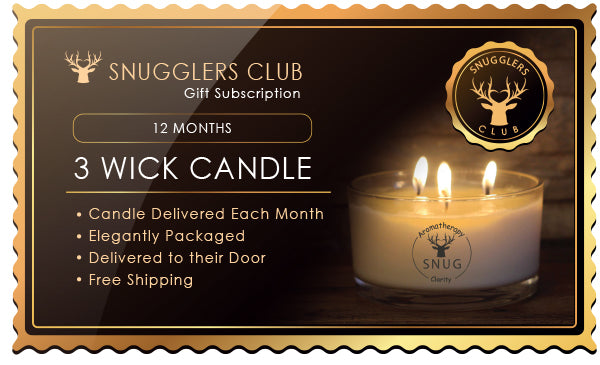 3 Wick Candle - 12 Month Subscription as a Gift